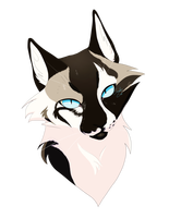 ����������� � ������