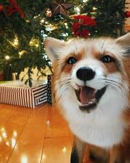 ����