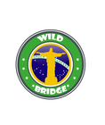 �����. Wild Bridge