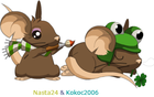 Nasta24