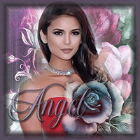 �����( ANGEL)