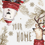 ���� ��� ����