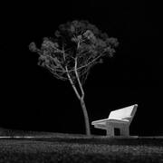 Danil (�����)