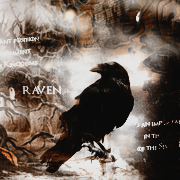 Raven