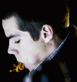 ���� �� ���