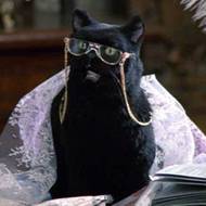 Salem Saberhagen