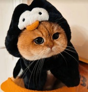 Oswald Cobblepot
