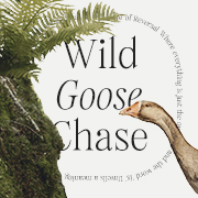 Wild Goose Chase