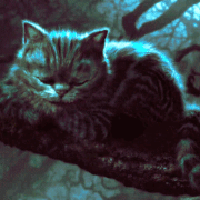 Cheshire Cat