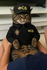 Larry_Maslinov