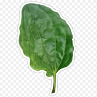 DinaRik