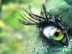 liza33