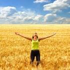 ������ �����