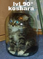 koshara