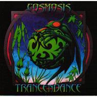 Cosmosis