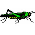 GRASSHOPPER