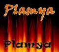 Plamia