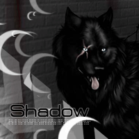 Shadow