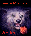 Wolfer