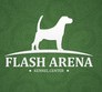 Flash Arena