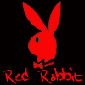 RedRabbit