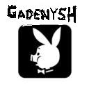 Gadenysh