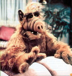 ALF