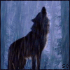 Wolf'srain
