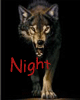 -Night_Wolf-