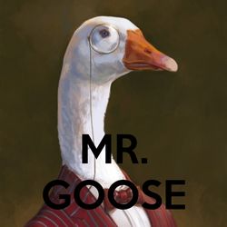 Mr.Goose