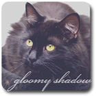 Gloomy Shadow