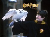 Harri Potter