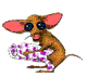 Nybac_ik