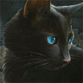 ˸