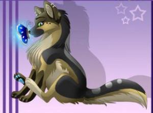 wolf