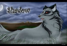 Shadow