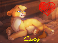 CanDy