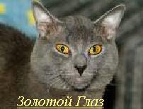 ������� ����