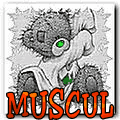 Muscul