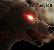 mr.fashion