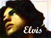 ELVIS