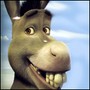 Donkey