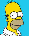 Homer Jay Simpson