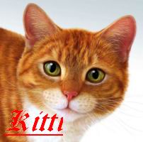 Kitti