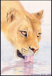 ������ �����