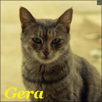 Gera