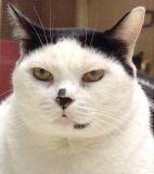 __Heart_WarminG_Rhythm__