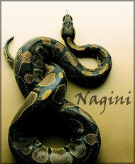 Nagini