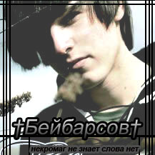 ���� ���������