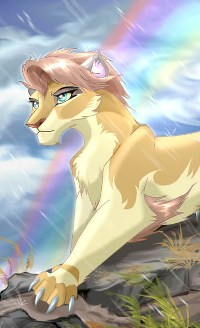 �������� ����